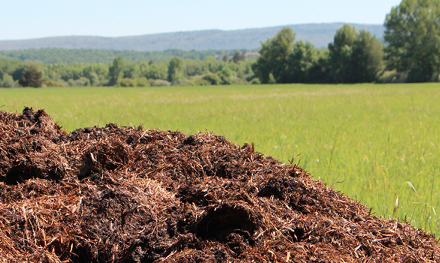 Composting plant