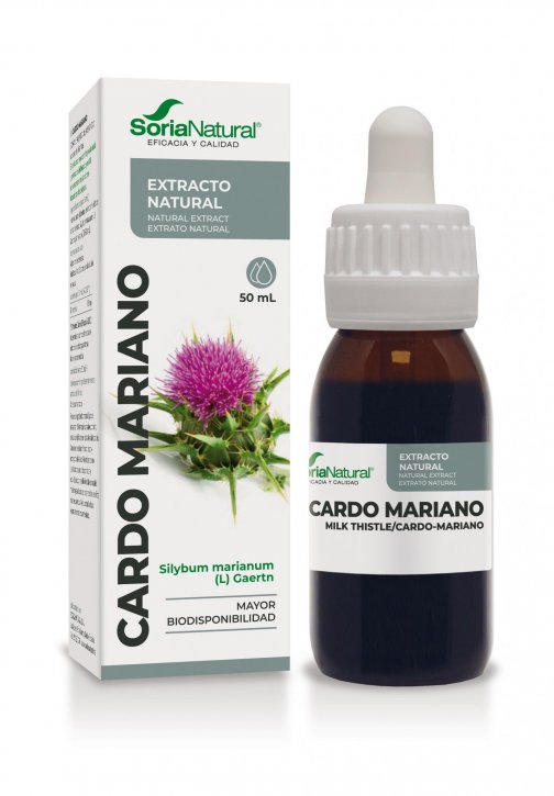 CARDO MARIANO EXTRACTO SN SP.jpg