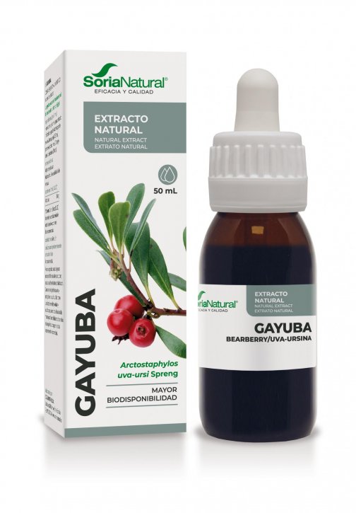 gayuba_extracto_soria_natural.jpg