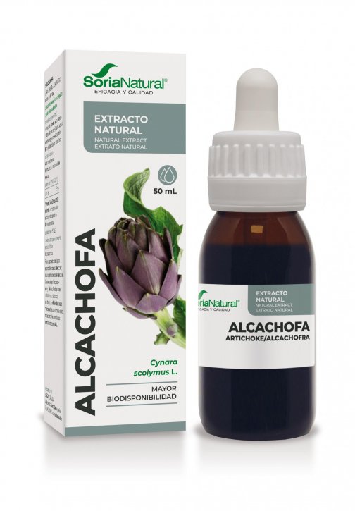 ALCACHOFA EXTRACTO SN SP (1).jpg